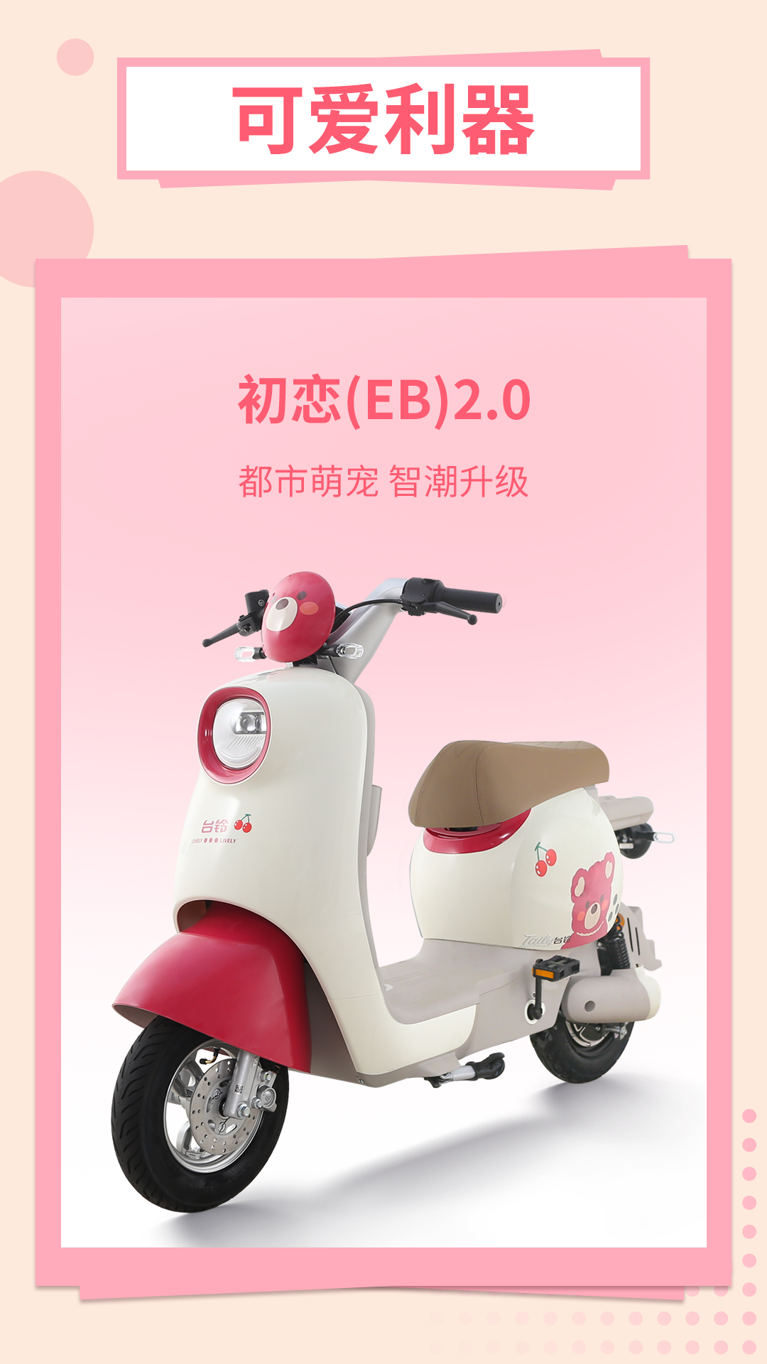 台铃长续航电动车
