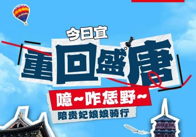 噫~起猛嘞，贵妃娘娘骑着台铃来洛阳撒欢了！