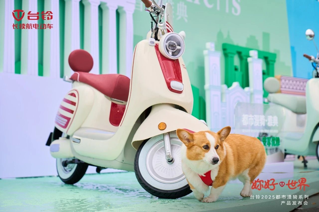 台铃长续航电动车